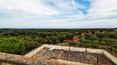 Toscana Immobiliare - farmhouse for sale in Puglia in Ostuni