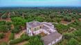 Toscana Immobiliare - farm for sale in Puglia in Ostuni