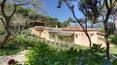 Toscana Immobiliare - Villa di lusso accesso diretto mare, affitto isola d\'Elba