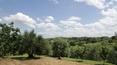 Toscana Immobiliare - Tuscan village for sale in the province of Arezzo