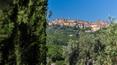 Toscana Immobiliare - Exclusive villa for rent in Montepulciano, Siena, Tuscany
