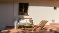 Toscana Immobiliare - Holidays in Tuscany in private villa in Montepulciano, Siena