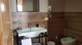 Toscana Immobiliare - Accommodation business for sale in Tuscany