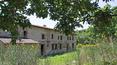 Toscana Immobiliare - Casale in pietra tipico toscano in vendita Torrita di Siena