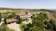 Toscana Immobiliare - buy a farm with vineyards in Tuscany