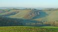 Toscana Immobiliare - Hamlet to renovate with land for sale in Siena, Asciano