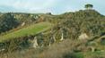 Toscana Immobiliare - farm to renovate with land for sale in Siena, Asciano, Tuscany