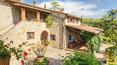 Toscana Immobiliare - Finca con coto de caza en venta en Chianti, Toscana