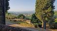 Toscana Immobiliare - Tuscan Farm with vineyard and olive grove for sale in Rignano, Florence