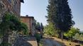 Toscana Immobiliare - Tuscan Farm with vineyard and olive grove for sale in Rignano, Florence