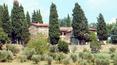 Toscana Immobiliare - Property for sale in Tuscany with vineyard and olive grove for sale in Rignano, Florence