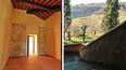 Toscana Immobiliare - Podere con vigneti e oliveti in vendita vicino Firenze