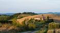 Toscana Immobiliare - buy farm in tuscany in Montalcino