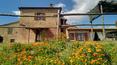 Toscana Immobiliare - Buy Farm in Tuscany, Montalcino