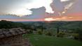 Toscana Immobiliare - Acquisto azienda agricola in Toscana a Montalcino, Siena