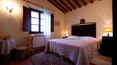 Toscana Immobiliare - Vendita Azienda agricola Montalcino