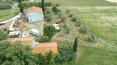 Toscana Immobiliare - House with land for sale in Cortona, Tuscany