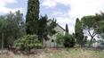 Toscana Immobiliare - For sale in Tuscany, Cortona province of Arezzo, house with outbuildings and 3 hectares of land.