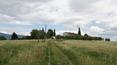 Toscana Immobiliare - vendesi a Cortona casa con annessi e 3 ettari di terreno seminativo.
