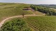 Toscana Immobiliare - farm with Winery for sale in montalcino, Tuscany, Siena