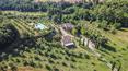 Toscana Immobiliare - The farm for sale is located between Val d\\\'Orcia and Val di Chiana and surrounded by olive groves and vineyards