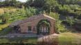 Toscana Immobiliare - real estate tuscany, siena real estate, houses for sale
