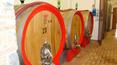 Toscana Immobiliare - Winery for sale in Montalcino, Tuscany Brunello wine production