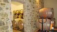 Toscana Immobiliare - Azienda Vitivinicola vendita a Montalcino produzione vino Brunello