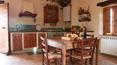 Toscana Immobiliare - Vendita Azienda agricola Montalcino