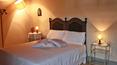 Toscana Immobiliare - Buying farm in Tuscany in Montalcino, Siena