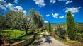 Toscana Immobiliare - Country house for sale in Tuscany in Cortona