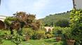 Toscana Immobiliare - Proprietà immobiliare di lusso  in vendita in Versilia, Lucca, Camaiore