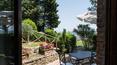 Toscana Immobiliare - Appartamenti con giardino in vendita a Cetona