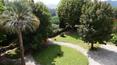 Toscana Immobiliare - Historische Villa mit Park zum Verkauf in Lucca, Toskana