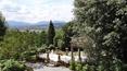 Toscana Immobiliare - Immobile di prestigio in vendita a Lucca