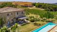 Toscana Immobiliare - wine farm for sale in Tuscany
