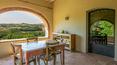 Toscana Immobiliare - Azienda vitivinicola in vendita Montalcino Siena