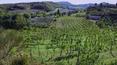 Toscana Immobiliare - Winery for sale in Montepulciano, Siena, Tuscany