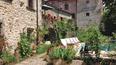 Toscana Immobiliare -
