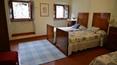 Toscana Immobiliare - Accommodation business for sale in Massa Carrara, Tuscany