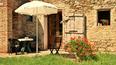 Toscana Immobiliare - Farm with vineyards and farmhouse for sale Grosseto, Tuscany