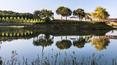 Toscana Immobiliare -