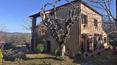 Toscana Immobiliare - Rustici e casali in vendita a Pienza  Val d\'Orcia