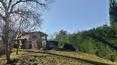 Toscana Immobiliare - Country house, Farmhouse for sale in Pienza in Tuscany, Val d\'orcia