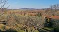 Toscana Immobiliare - Rustici e casali in vendita a Pienza  Val d\'Orcia