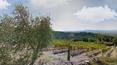 Toscana Immobiliare - Azienda vitivinicola con 10 ettari di vigneti in vendita Castellina in chianti
