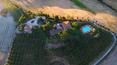 Toscana Immobiliare - Azienda agricola con agriturismo in vendita a Montalcino