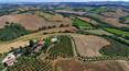 Toscana Immobiliare - Azienda agricola con vigneto e oliveto in vendita a Montalcino