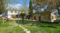 Toscana Immobiliare - Azienda agricola con vigneto e oliveto in vendita a Montalcino