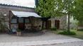 Toscana Immobiliare - Azienda agricola con vigneto e oliveto in vendita a Montalcino